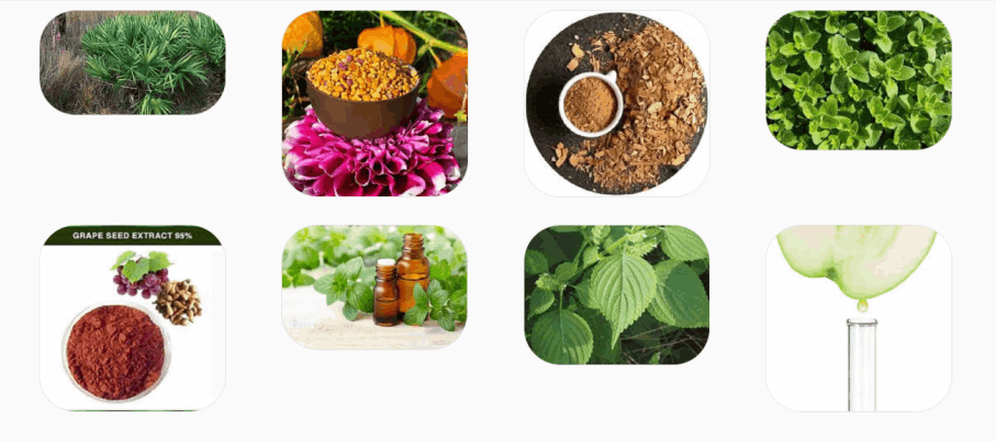 prostaprime support ingredients